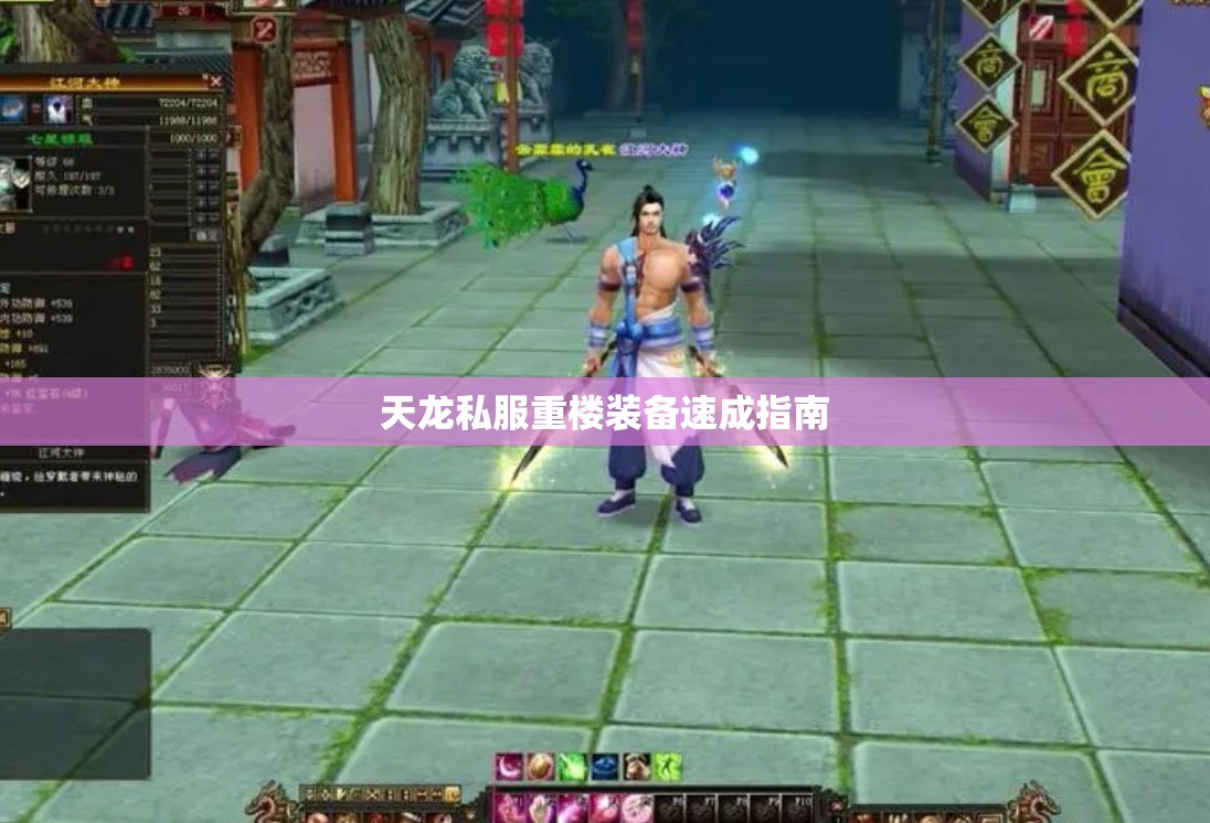 天龙私服重楼装备速成指南 天龙私服重楼装备速成指南