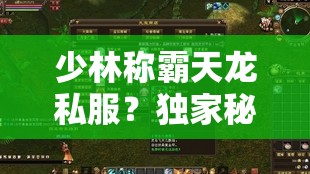 少林称霸天龙私服?独家秘籍可曾领悟? 少林称霸天龙私服?独家秘籍可曾领悟?