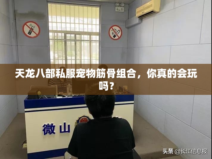 天龙八部私服宠物筋骨组合,你真的会玩吗? 天龙八部私服宠物筋骨组合,你真的会玩吗?