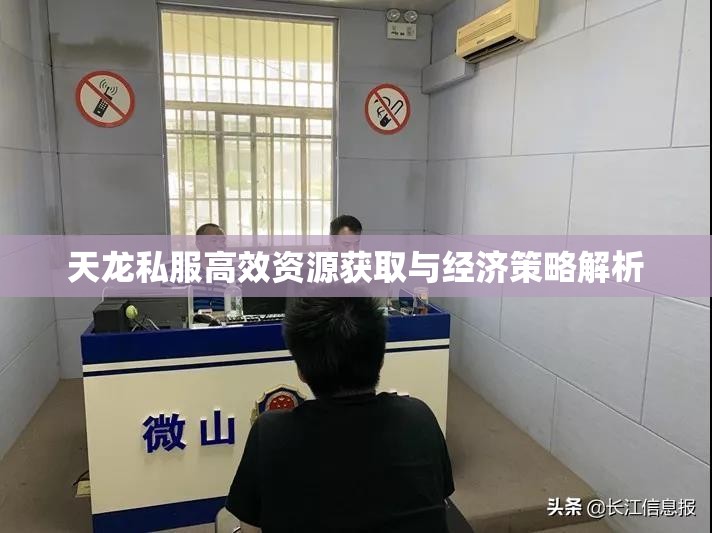 天龙私服高效资源获取与经济策略解析 天龙私服高效资源获取与经济策略解析