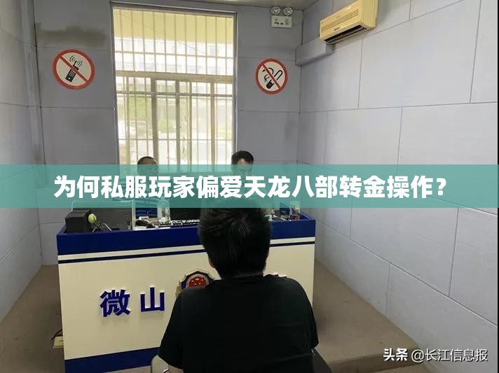 为何私服玩家偏爱天龙八部转金操作? 为何私服玩家偏爱天龙八部转金操作?