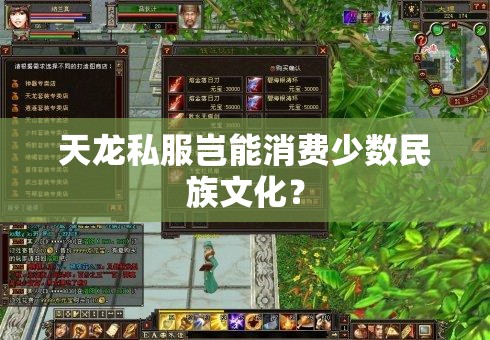 天龙私服岂能消费少数民族文化? 天龙私服岂能消费少数民族文化?