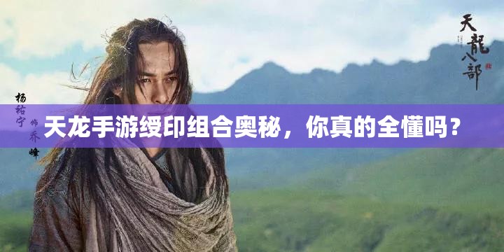 天龙手游绶印组合奥秘,你真的全懂吗? 天龙手游绶印组合奥秘,你真的全懂吗?