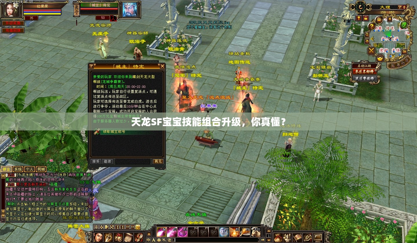 天龙SF宝宝技能组合升级,你真懂? 天龙SF宝宝技能组合升级,你真懂?