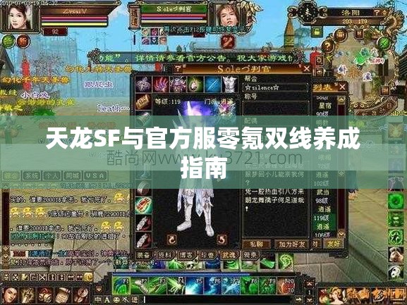 天龙SF与官方服零氪双线养成指南 天龙SF与官方服零氪双线养成指南