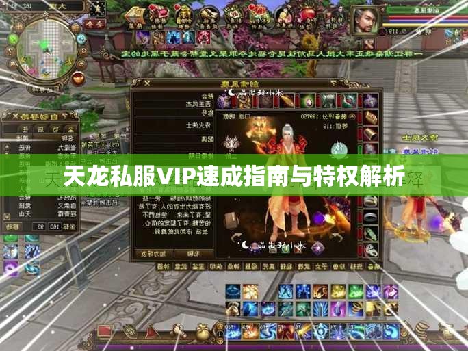 天龙私服VIP速成指南与特权解析 天龙私服VIP速成指南与特权解析