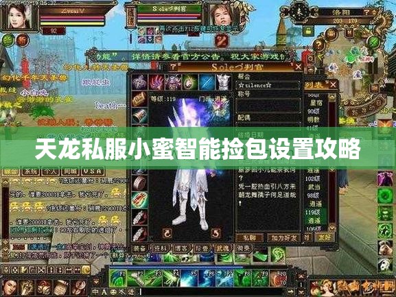 天龙私服小蜜智能捡包设置攻略 天龙私服小蜜智能捡包设置攻略