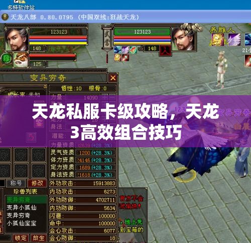 天龙私服卡级攻略,天龙3高效组合技巧 天龙私服卡级攻略,天龙3高效组合技巧
