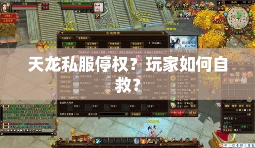天龙私服停权?玩家如何自救? 天龙私服停权?玩家如何自救?