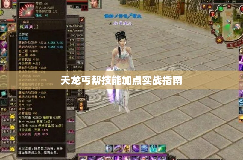 天龙丐帮技能加点实战指南 天龙丐帮技能加点实战指南