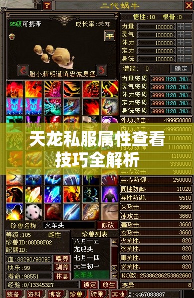 天龙私服属性查看技巧全解析 天龙私服属性查看技巧全解析