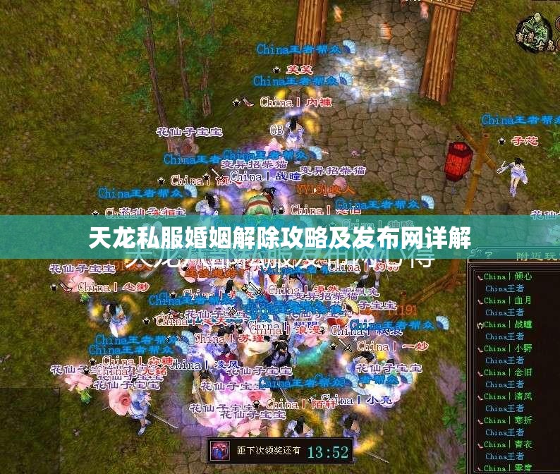 天龙私服婚姻解除攻略及发布网详解 天龙私服婚姻解除攻略及发布网详解