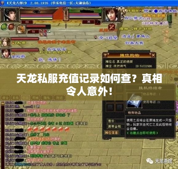 天龙私服充值记录如何查？真相令人意外！