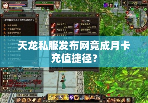 天龙私服发布网竟成月卡充值捷径? 天龙私服发布网竟成月卡充值捷径?