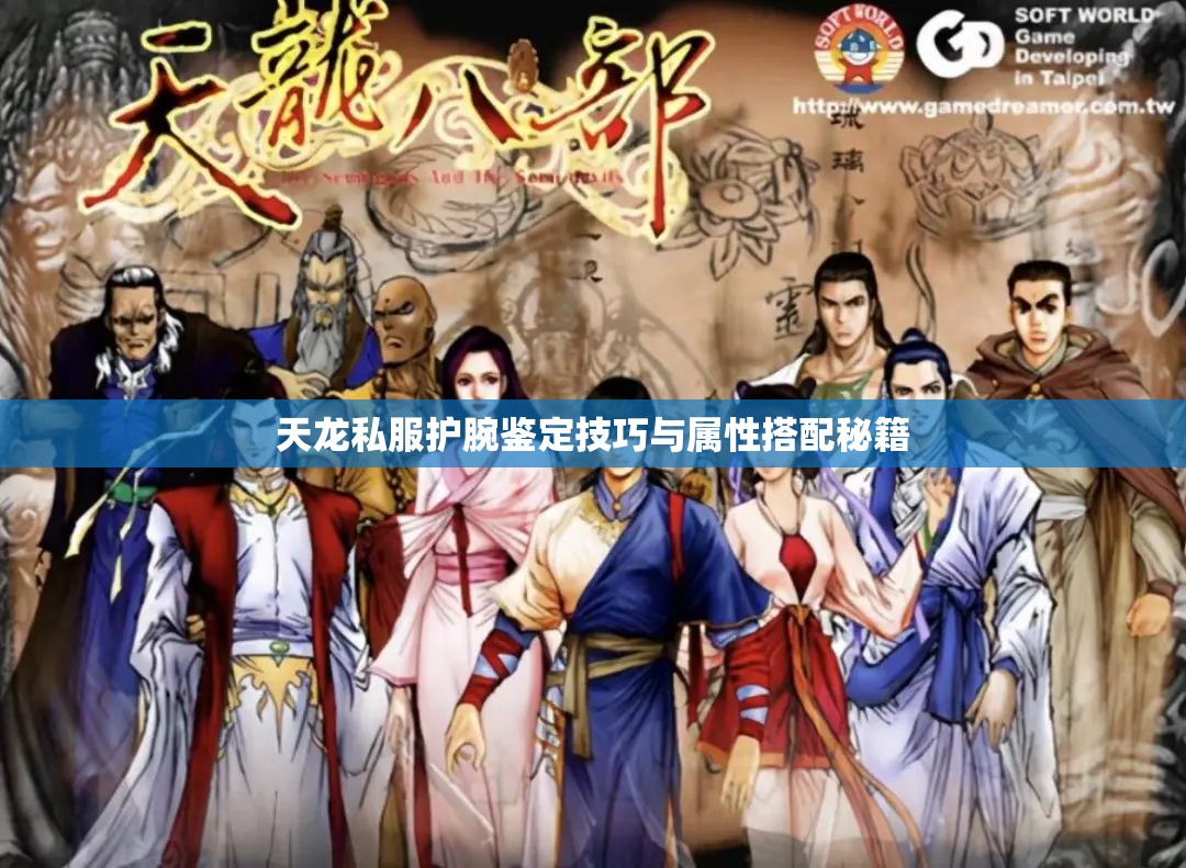 天龙私服护腕鉴定技巧与属性搭配秘籍 天龙私服护腕鉴定技巧与属性搭配秘籍