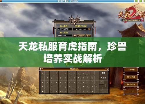 天龙私服育虎指南,珍兽培养实战解析 天龙私服育虎指南,珍兽培养实战解析
