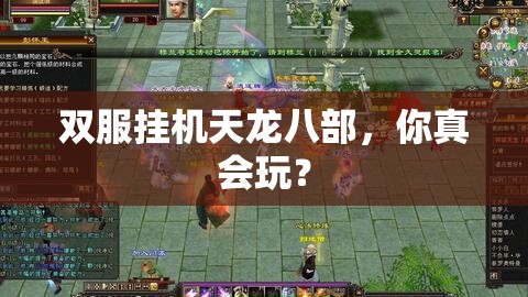 双服挂机天龙八部,你真会玩? 双服挂机天龙八部,你真会玩?
