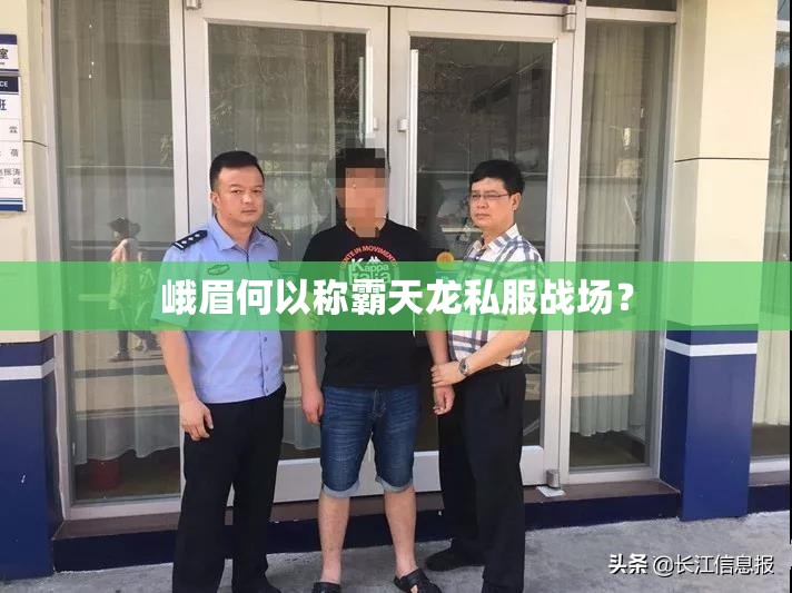 峨眉何以称霸天龙私服战场? 峨眉何以称霸天龙私服战场?