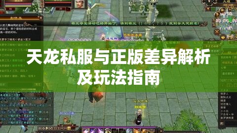 天龙私服与正版差异解析及玩法指南