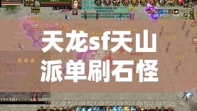 天龙sf天山派单刷石怪实战攻略 天龙sf天山派单刷石怪实战攻略