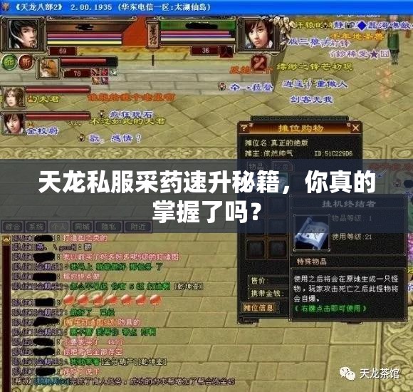 天龙私服采药速升秘籍,你真的掌握了吗? 天龙私服采药速升秘籍,你真的掌握了吗?