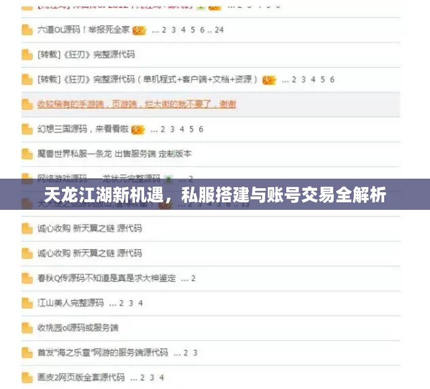 天龙江湖新机遇,私服搭建与账号交易全解析 天龙江湖新机遇,私服搭建与账号交易全解析