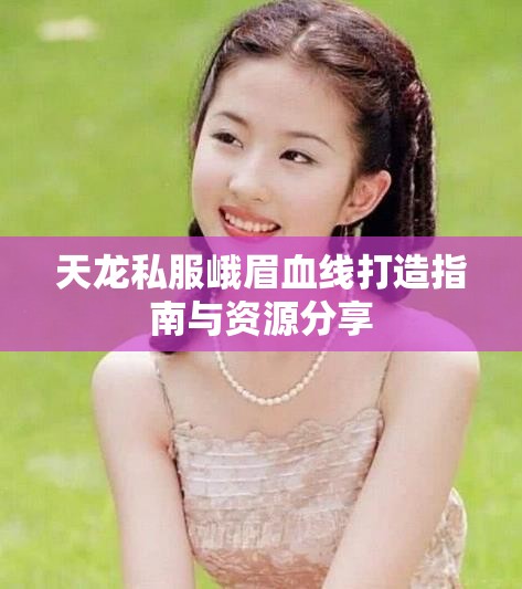 天龙私服峨眉血线打造指南与资源分享 天龙私服峨眉血线打造指南与资源分享