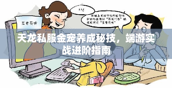 天龙私服金宠养成秘技,端游实战进阶指南 天龙私服金宠养成秘技,端游实战进阶指南