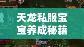 天龙私服宝宝养成秘籍,打造顶级战力伙伴 天龙私服宝宝养成秘籍,打造顶级战力伙伴