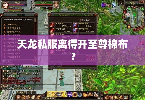天龙私服离得开至尊棉布? 天龙私服离得开至尊棉布?