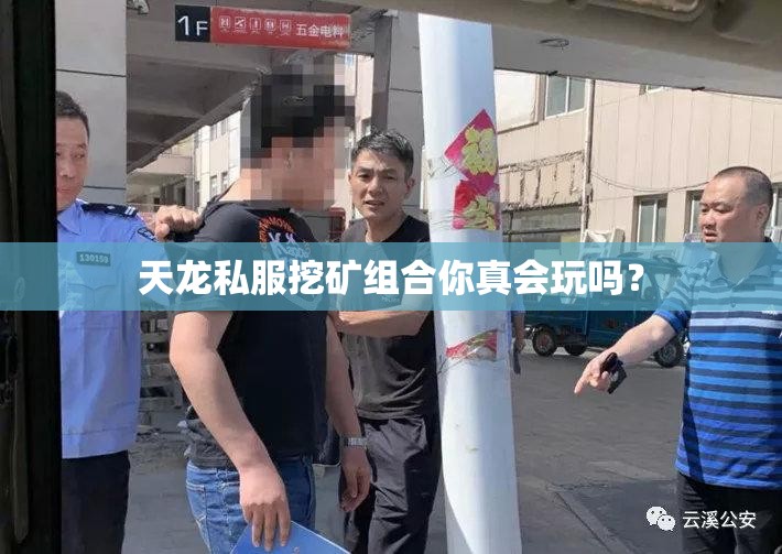天龙私服挖矿组合你真会玩吗? 天龙私服挖矿组合你真会玩吗?