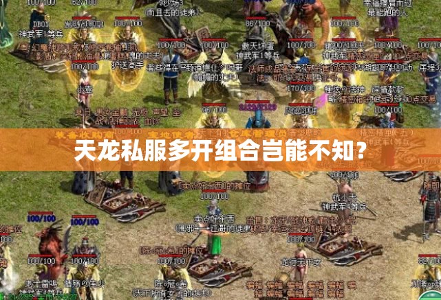 天龙私服多开组合岂能不知? 天龙私服多开组合岂能不知?