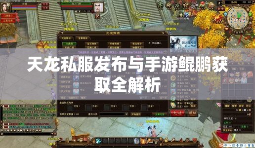 天龙私服发布与手游鲲鹏获取全解析 天龙私服发布与手游鲲鹏获取全解析