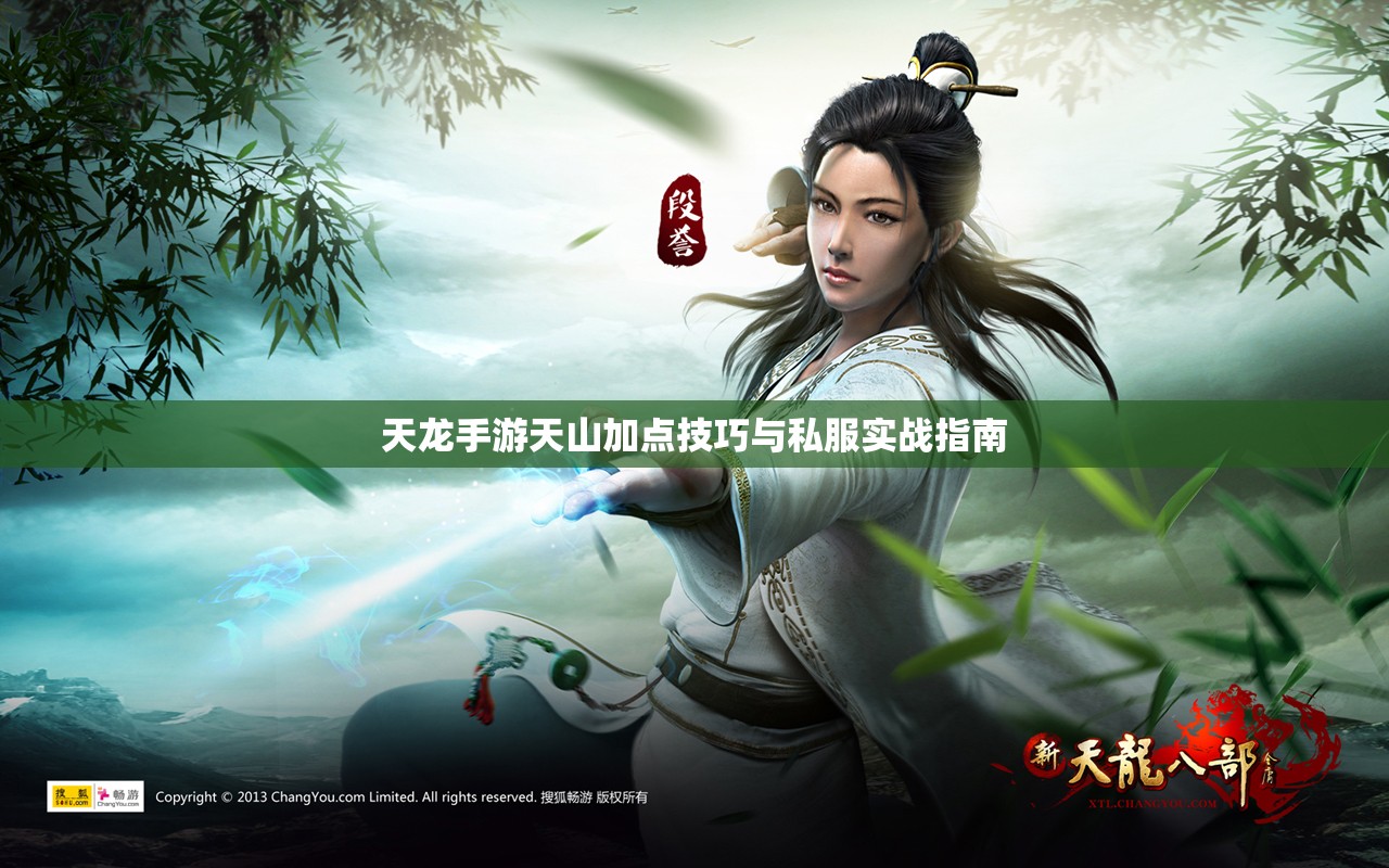 天龙手游天山加点技巧与私服实战指南 天龙手游天山加点技巧与私服实战指南