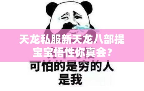天龙私服新天龙八部提宝宝悟性你真会? 天龙私服新天龙八部提宝宝悟性你真会?