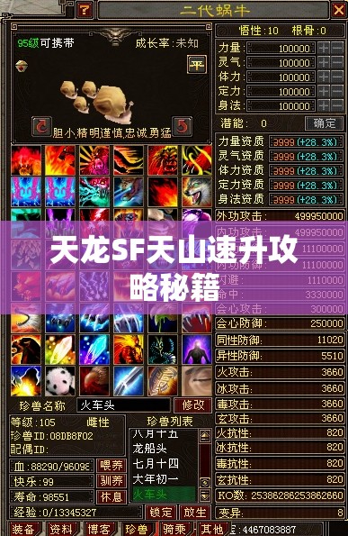 天龙SF天山速升攻略秘籍 天龙SF天山速升攻略秘籍
