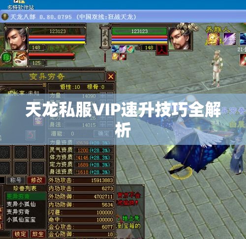 天龙私服VIP速升技巧全解析 天龙私服VIP速升技巧全解析