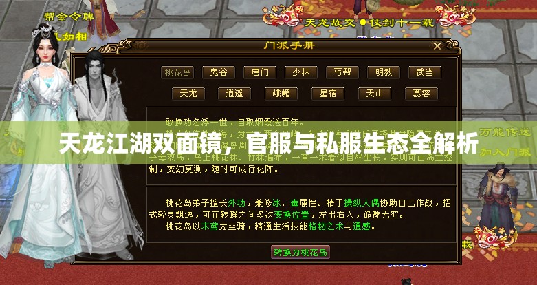 天龙江湖双面镜,官服与私服生态全解析 天龙江湖双面镜,官服与私服生态全解析