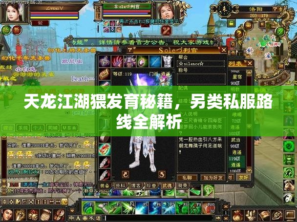 天龙江湖猥发育秘籍,另类私服路线全解析 天龙江湖猥发育秘籍,另类私服路线全解析