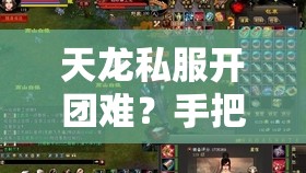 天龙私服开团难?手把手教你组队秘籍! 天龙私服开团难?手把手教你组队秘籍!