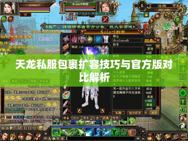 天龙私服包裹扩容技巧与官方版对比解析 天龙私服包裹扩容技巧与官方版对比解析