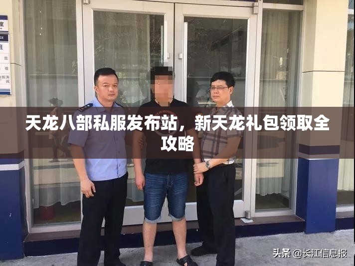 天龙八部私服发布站,新天龙礼包领取全攻略 天龙八部私服发布站,新天龙礼包领取全攻略