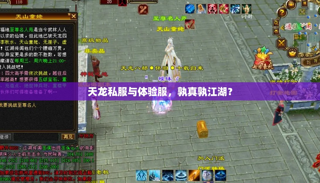 天龙私服与体验服,孰真孰江湖? 天龙私服与体验服,孰真孰江湖?