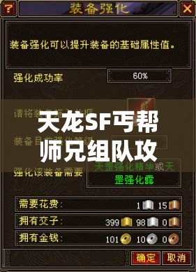 天龙SF丐帮师兄组队攻略与技巧解析 天龙SF丐帮师兄组队攻略与技巧解析