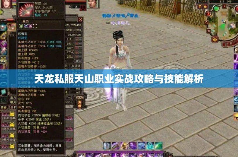 天龙私服天山职业实战攻略与技能解析 天龙私服天山职业实战攻略与技能解析