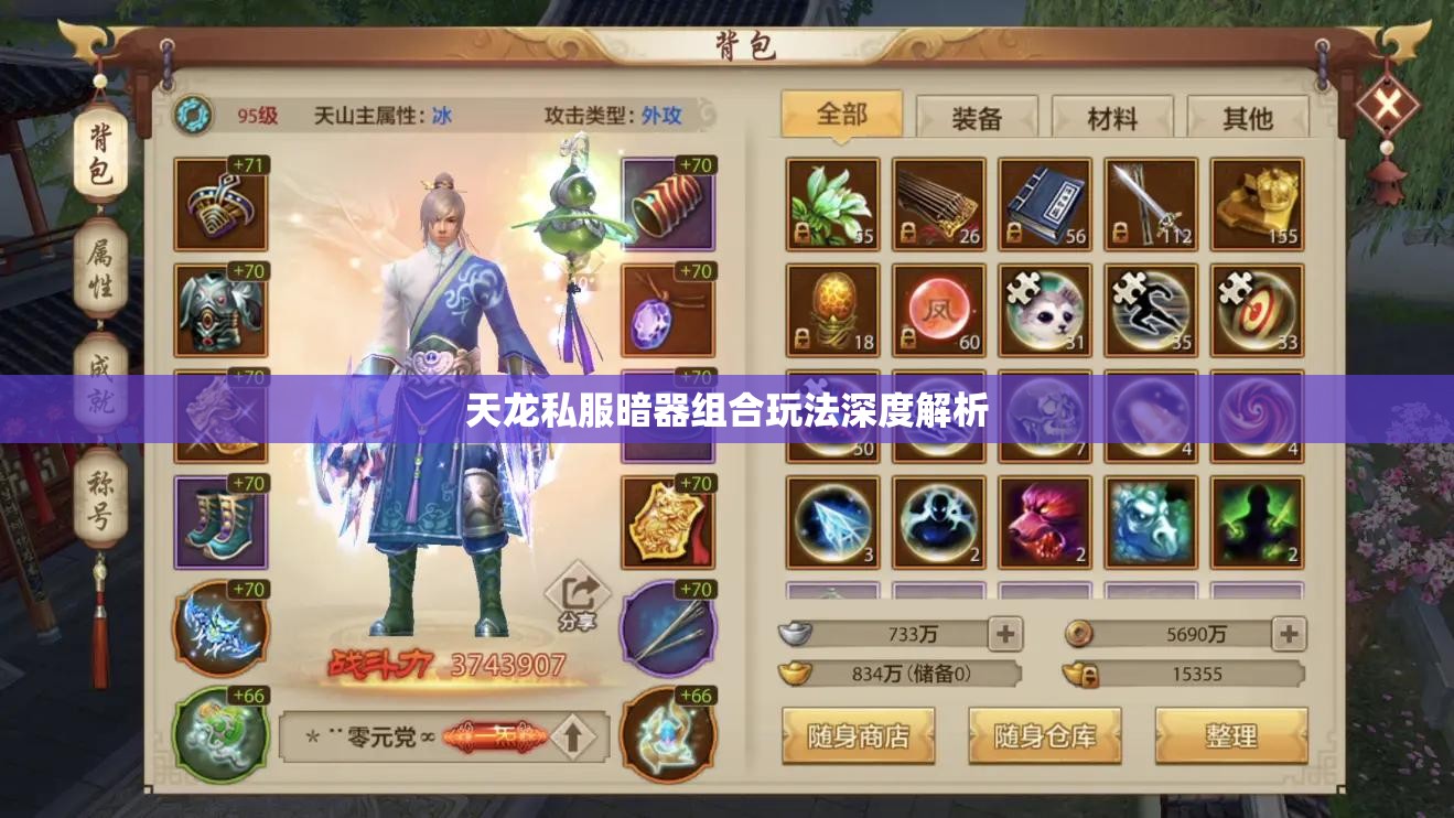 天龙私服暗器组合玩法深度解析 天龙私服暗器组合玩法深度解析