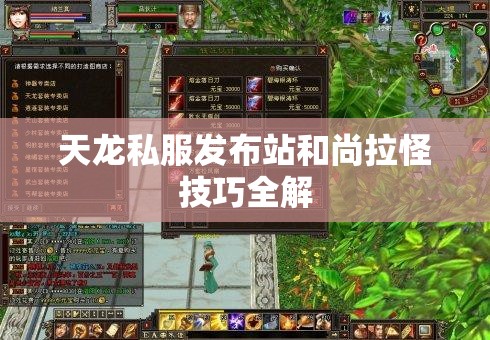 天龙私服发布站和尚拉怪技巧全解 天龙私服发布站和尚拉怪技巧全解