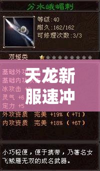 天龙新服速冲技巧与腾讯版冲级攻略 天龙新服速冲技巧与腾讯版冲级攻略