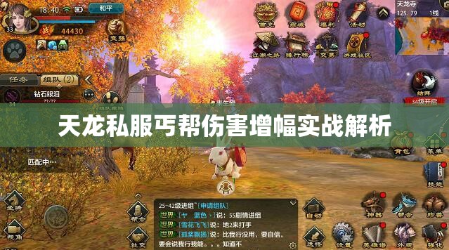 天龙私服丐帮伤害增幅实战解析 天龙私服丐帮伤害增幅实战解析