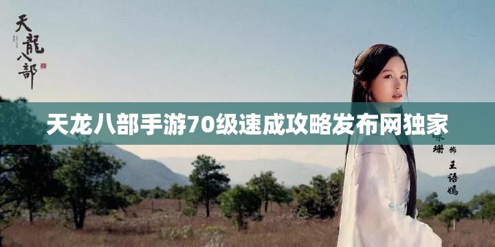 天龙八部私服70级速成攻略发布网独家